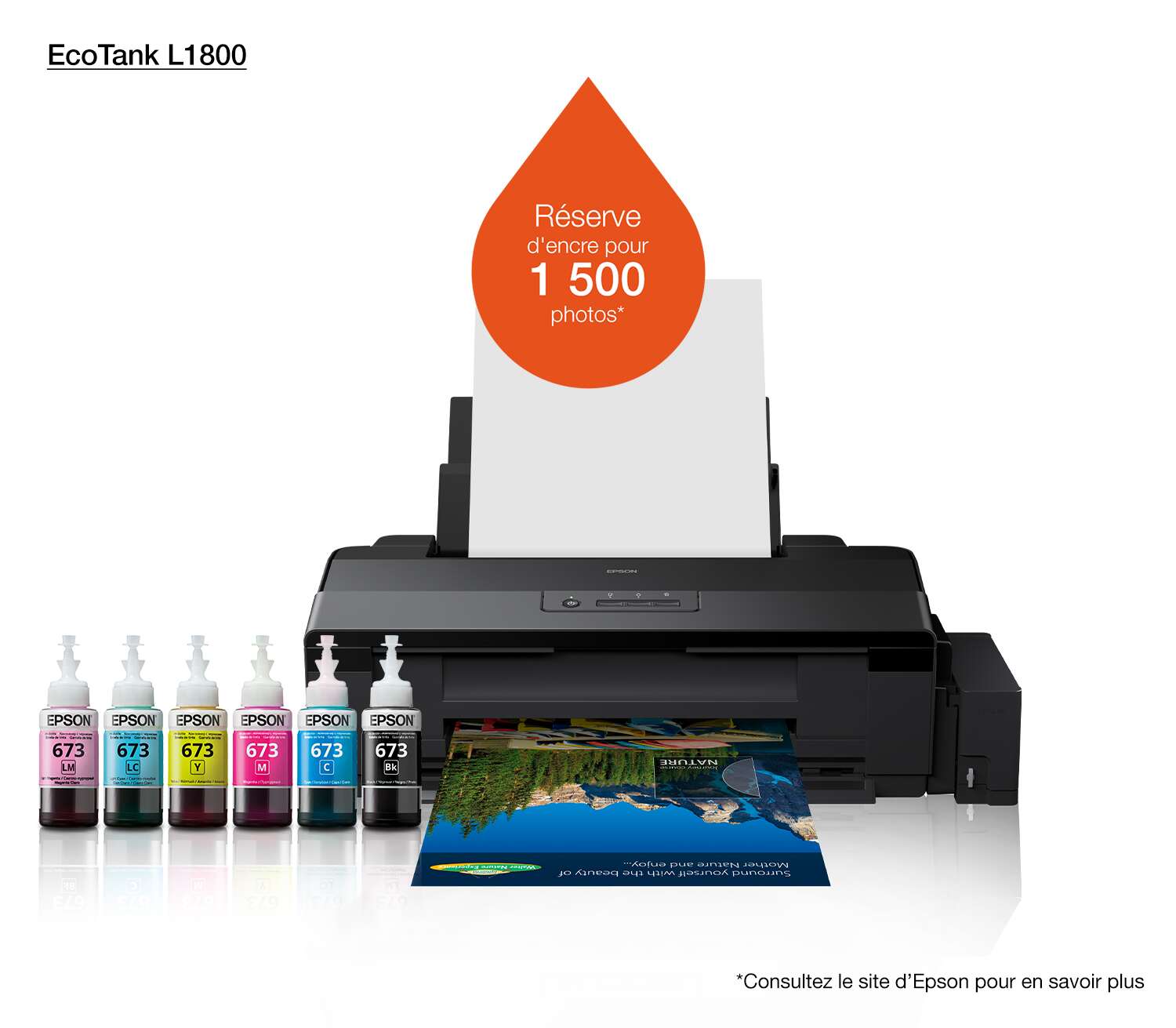Acheter Epson EcoTank L1800 Imprimante Photo A3+ à Réservoirs Rechargeables  C11CD82403 - د.م. 7.499,00 - Maroc
