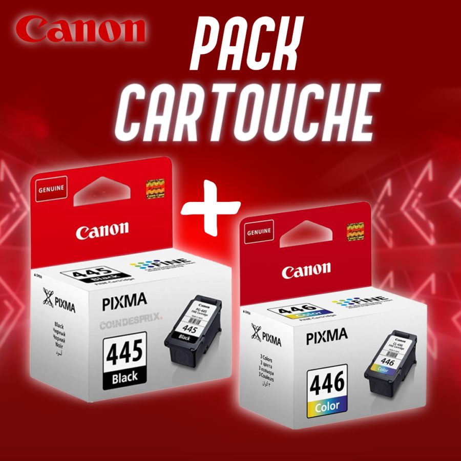 Pack Cartouche 445 Noir et 446 Couleur