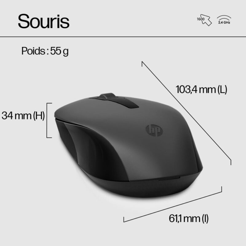 HP Ensemble combiné clavier et souris sans fil 330  (2V9E6AA)