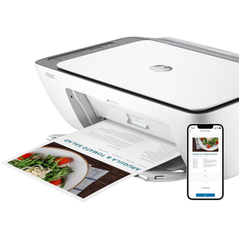 Imprimante multifonction HP DeskJet Ink Advantage 2876 (6W7E6C-614)